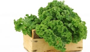 kale-post